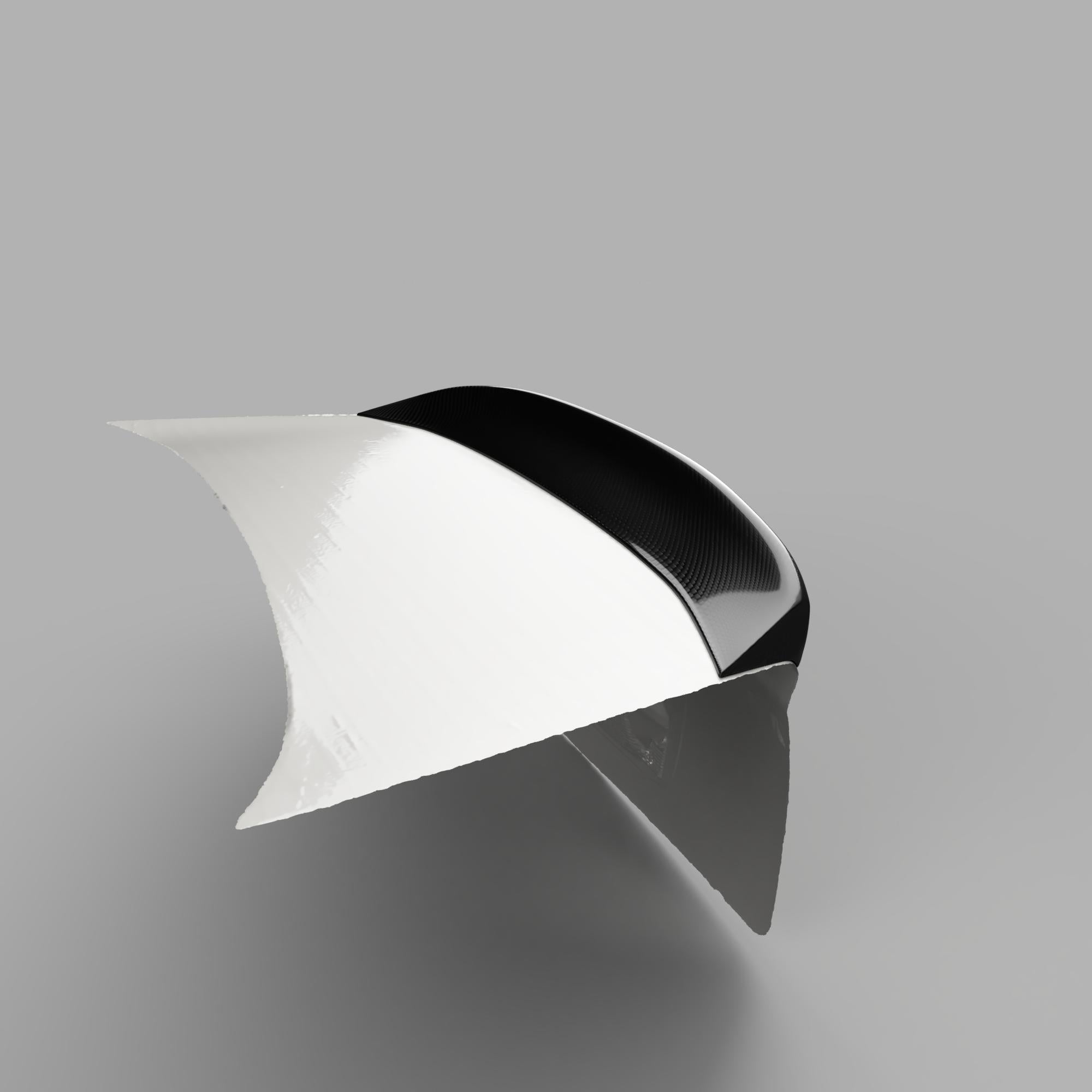 Spoiler - Acura TL 04-08