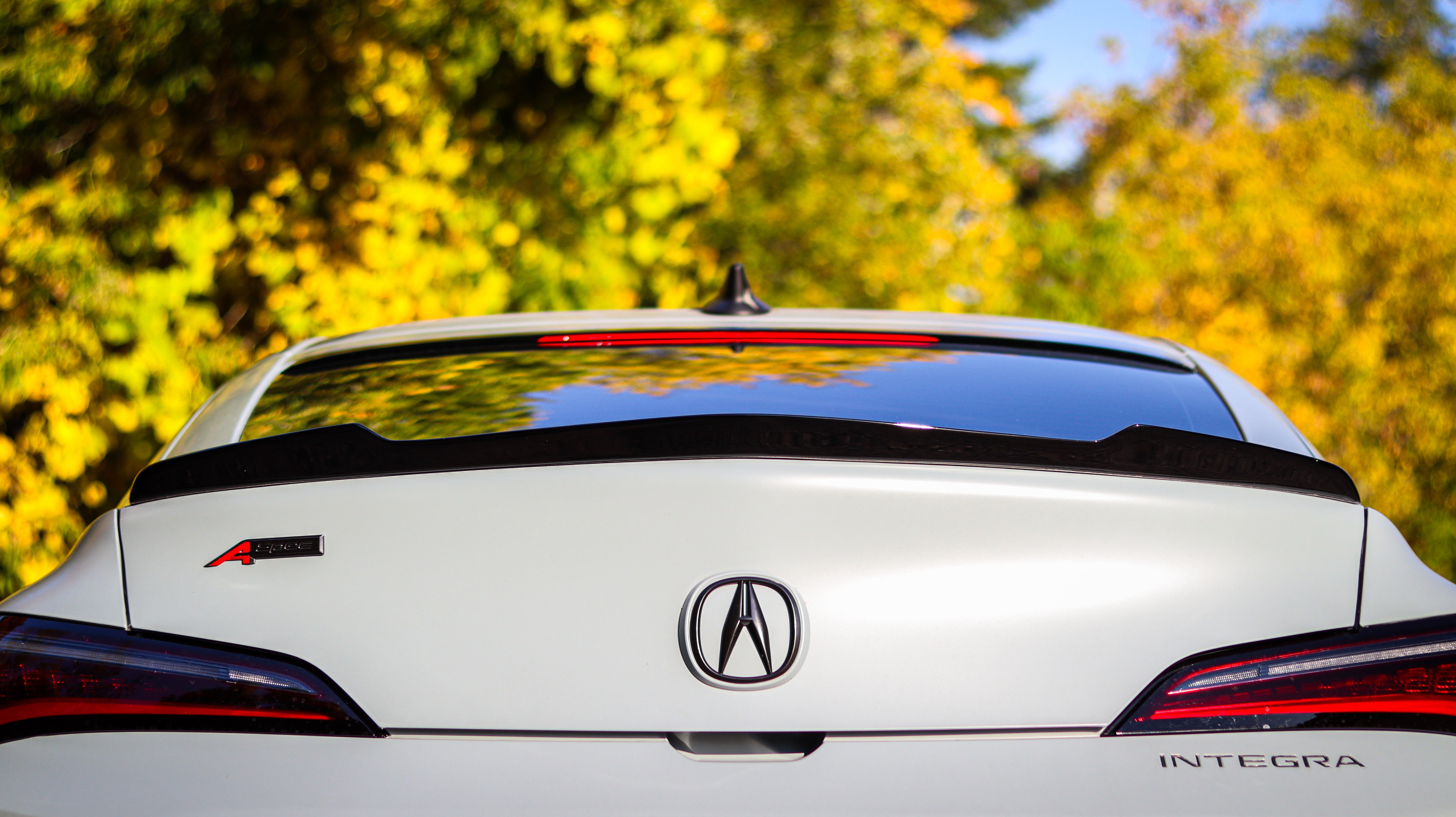 Spoiler - Acura Integra 2023-2025